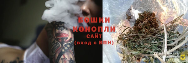 ПСИЛОЦИБИНОВЫЕ ГРИБЫ Карпинск
