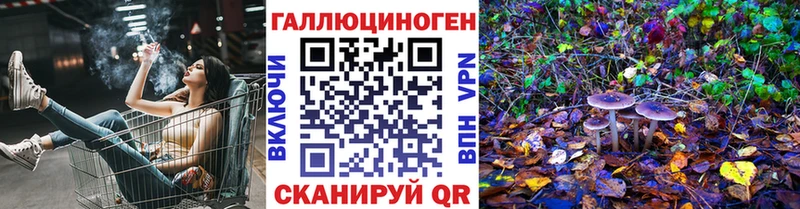Галлюциногенные грибы GOLDEN TEACHER Купить Новосиль